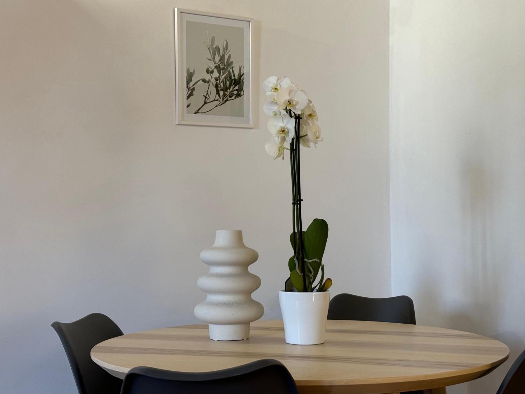 Appartement Il Vicoletto Marino Extérieur photo